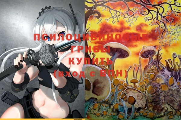 ешки Абдулино