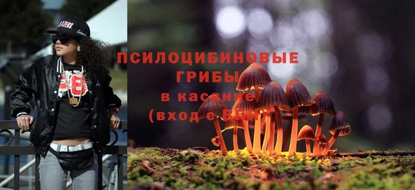 ешки Абдулино