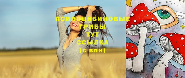 не бодяженный Абаза